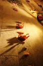 Tragedie  Un Poeme 15 * 3504 x 2336 * (4.58MB)